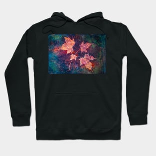 Autumn leaves cyanotype with rain drops 1 Hoodie